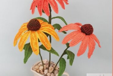 Echinacea